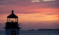 Using Digital Signage to Capture Prospect Attention