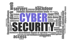 Top 5 Cyber Actions To Protect Your Business