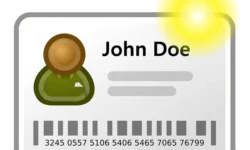 Tips for Managing Your Business’ Payroll