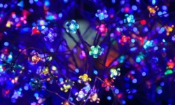 Solutions for a Bright Future: The Technology of Lighting