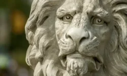 How One Lion Destroyed Someone’s Reputation