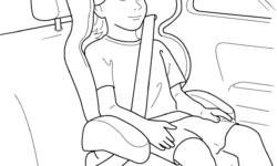 Everything You Need to Know about Seatbelt Technology